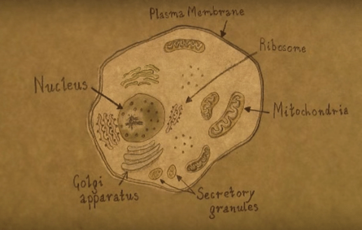 screen-shot-2017-01-17-at-7-44-17-am