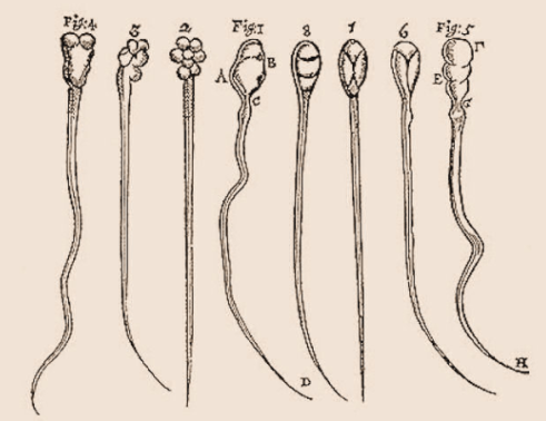 screen-shot-2017-02-04-at-7-54-36-am